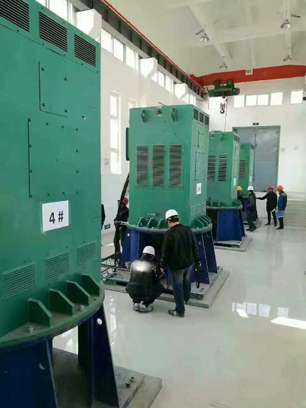 榆林直流电机某污水处理厂使用我厂的立式高压电机安装现场